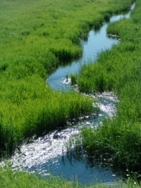 little creekwith water